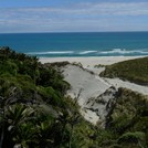 Nikau Palms and small waves