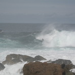 Shipsterns, Shipstern Bluff