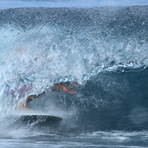 Honls 4-21-11