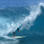 Honls 4-15-11
