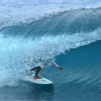 Honls 4-15-11