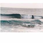 Nice Barrel, Kiama Wedge
