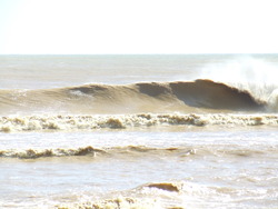 Pataua Dirty Barrel photo
