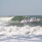 empty barrel, El Transito