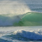 SURFER MAX TEAM MRS FROG, Tabatinga