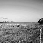 Te Oka, Te Oka Bay