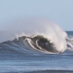 the little wedge AKA Pistols, El Transito