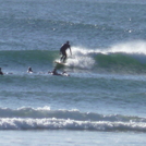 winter session of little nobby