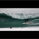 nelson pinto no alfa barrels