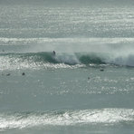 flynns reef