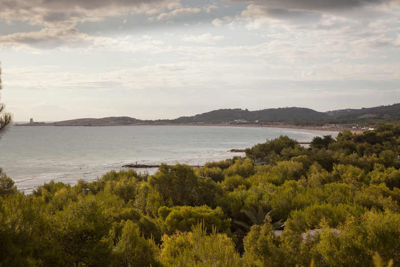 Capo Vieste Surf