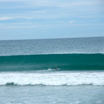 Photo by Noah Simpson, Singleton