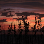 Sunset at Golden Beach in Venice, Venice NorthandSouth Jetty