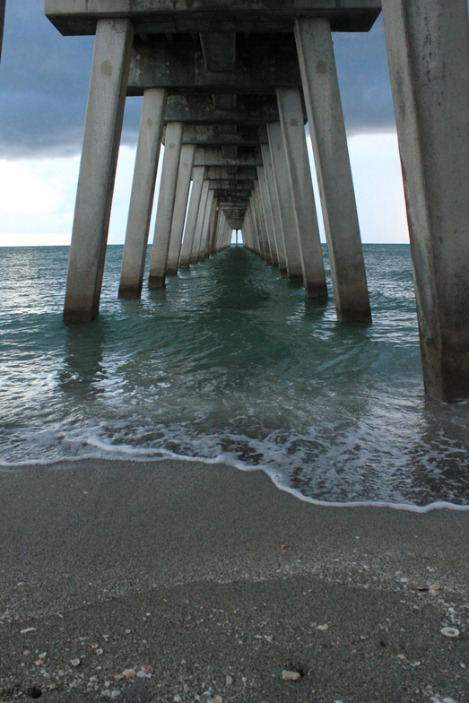 Sharky's Pier, Venice NorthandSouth Jetty