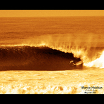 FULL RUSH, El Zunzal