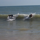 Bodyboard pico de costa ballena