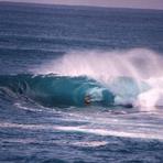 Shark Island (Cronulla)