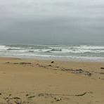 As of Sept. 22 at 9:30 AM Vietnam time, China Beach