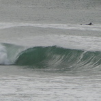Murphys (Buffalo Bay Beach)