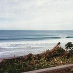 Pining Surf Club Bazza's, Pines (Wainui Beach)