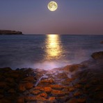 Moonrise Magic, Malabar