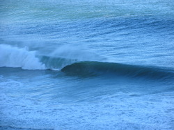 a left, Koeel Bay photo