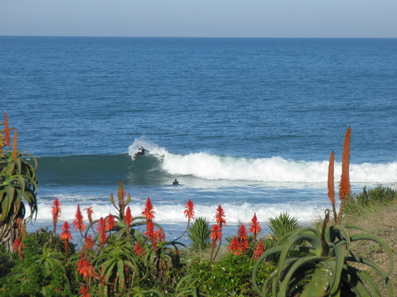 Boneyards carve