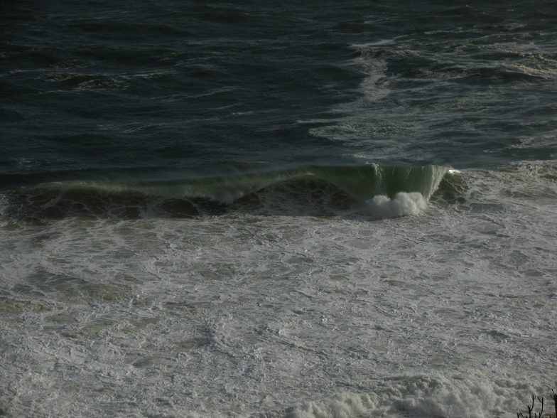 thick, Koeel Bay