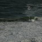 thick, Koeel Bay