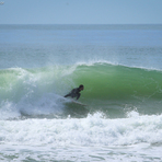 bravanésia, Praia Brava