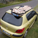 surf trip, Barley Cove