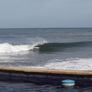 Shacked!