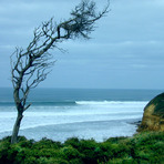 Bells Beach, Bells Beach - Rincon