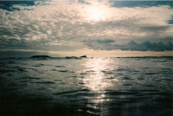 summer at gennith, Llangennith photo
