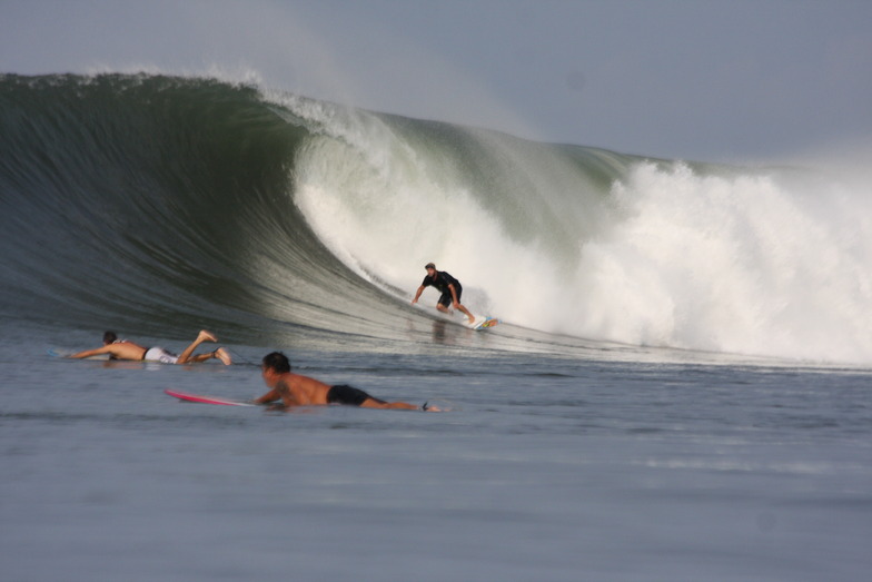 buck ,may 2011, Punta Mango