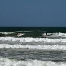 Fun Day