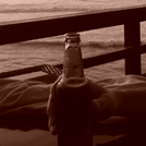 the best way to enjoy a beer