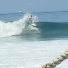 Lohifushi AUG 2005