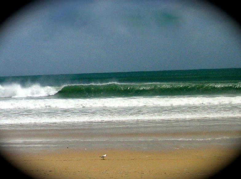Noosa christmas day, Noosa - Sunshine Beach
