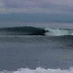Elwha