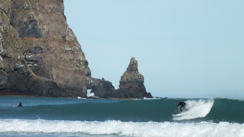 Banks Peninsula - Hickory Bay