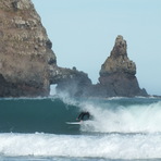 Hickory Bay Barrel