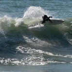 nice wave, Raglan-Whale Bay