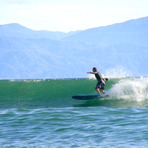 beaver tail, Punta Burros