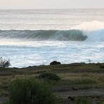 Bawley Point