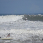 Naranjos, Parque Tayrona