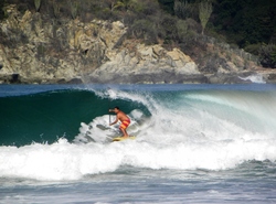 Paddle Board Tube, Zicatela photo
