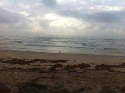 Surfside Beach Tx Tide Chart