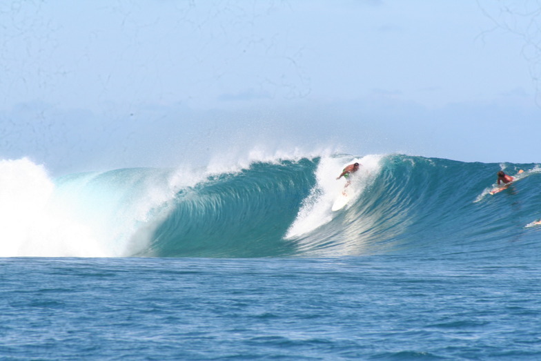 Turui