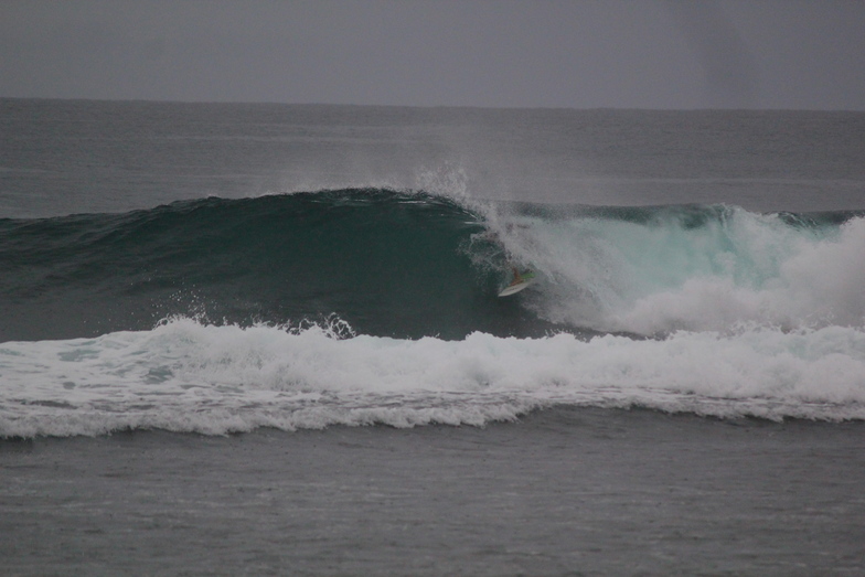 slotted, Rubio